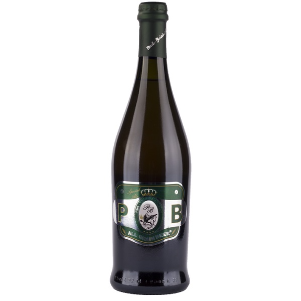 Birra Special Ale - Birrificio Paul Bricius 