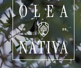 Olea Nativa